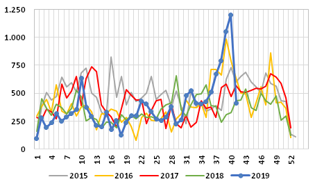 Gráfico 4: Exportaciones noruegas semanales de salmón de cultivo congelado, 2015/2019, en toneladas