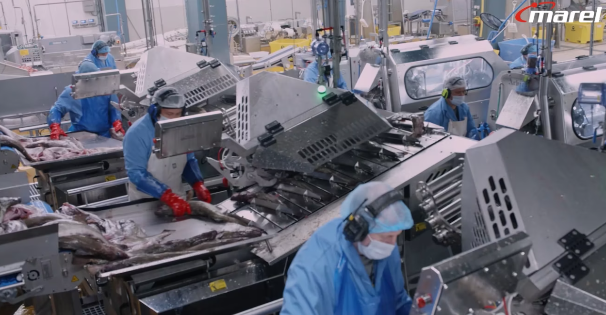 FIS - Companies & Products - Marel: 'Automation and Digital ...