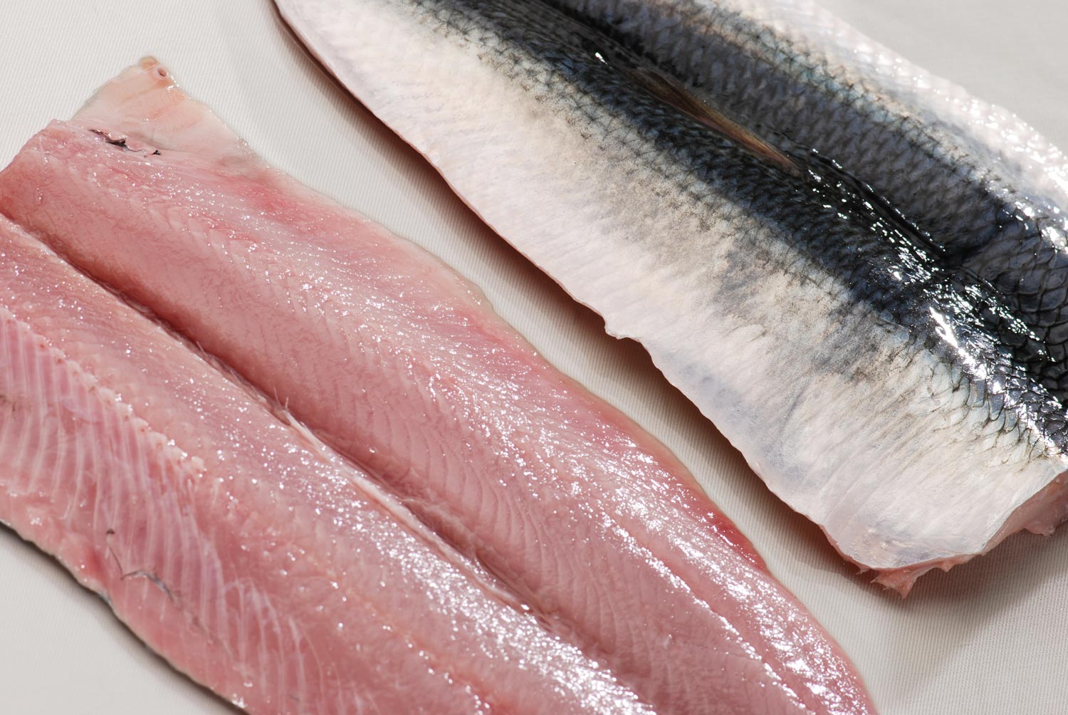 Seafood Media Group Worldnews N.S., N.B. herring fishery swallows