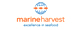Marine Harvest ASA -Headquarters-