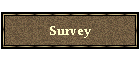 Survey