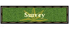 Survey