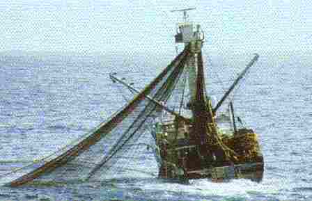 Pesquero en Faena de Pesca