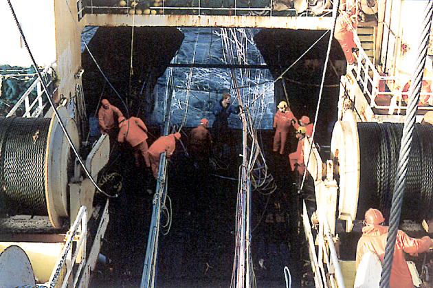 Foto2.jpg (78077 bytes)