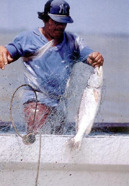 Foto3.jpg (51771 bytes)