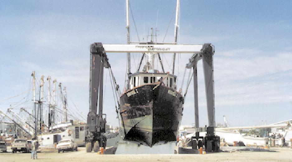 Foto4.jpg (63188 bytes)